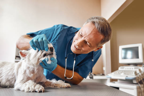  Westlake, TX Emergency Dentist Pros