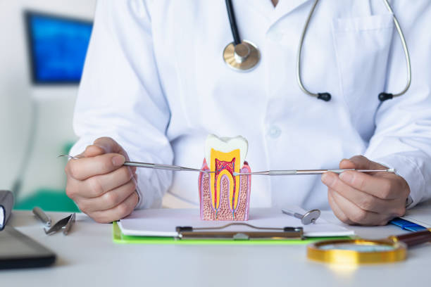Best Emergency Broken Tooth Repair in Westlake, TX